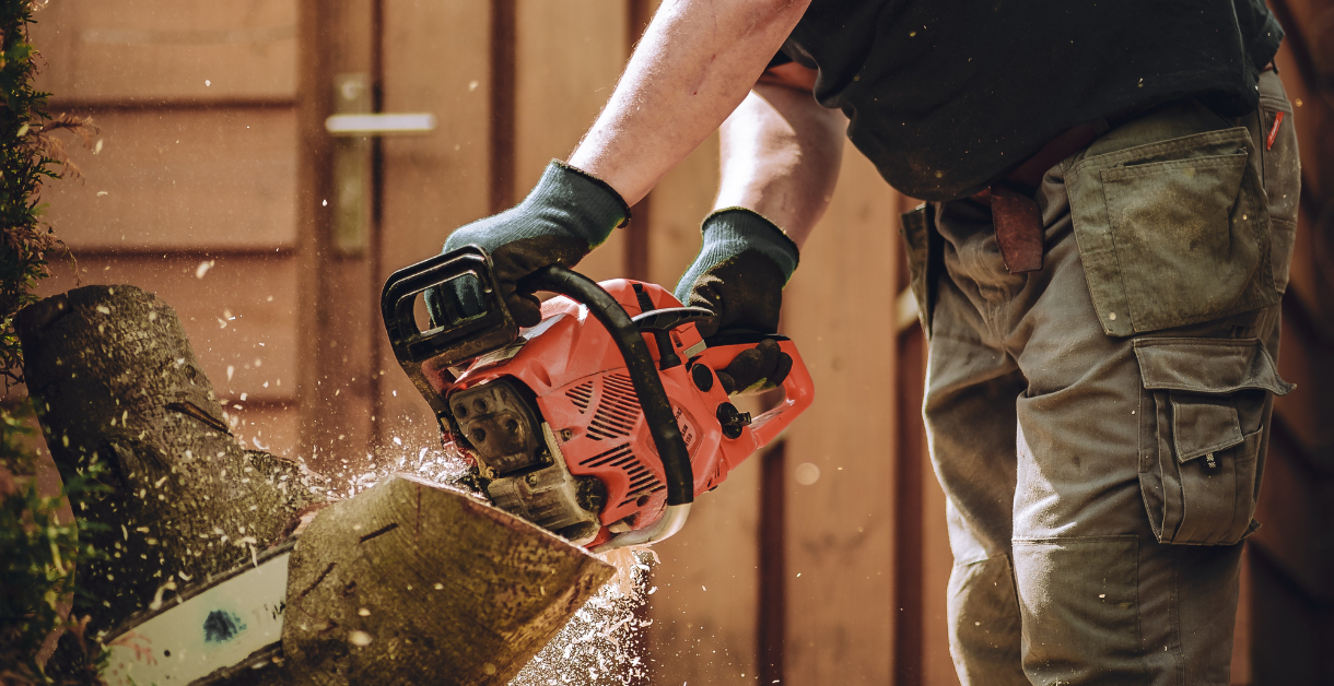 Persona con motosierra cortando un árbol