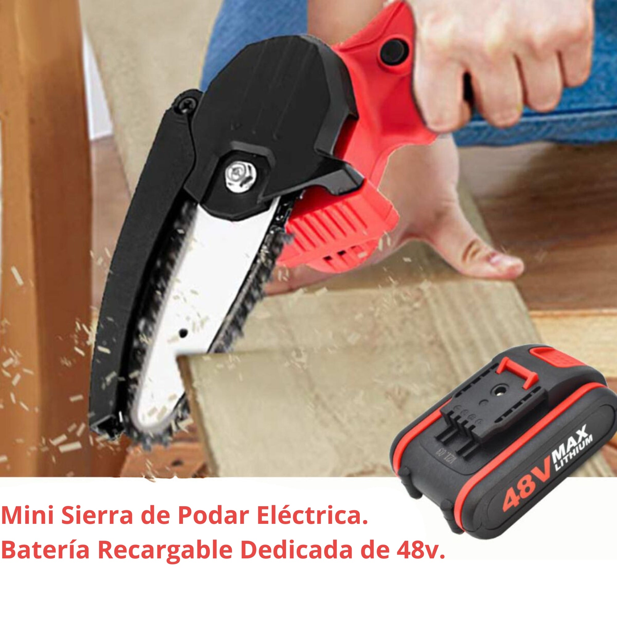 Batería 48v Litio Ion Industrial Ion Lithium Recargable
