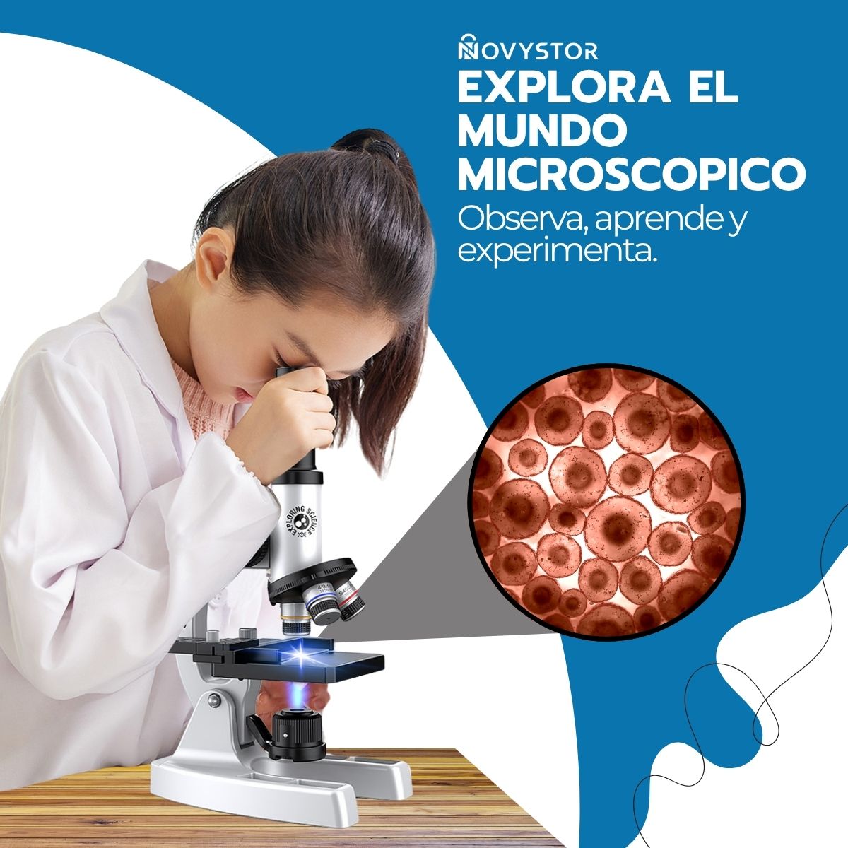 Microscopio Profesional 16000X con Accesorios y Muestras