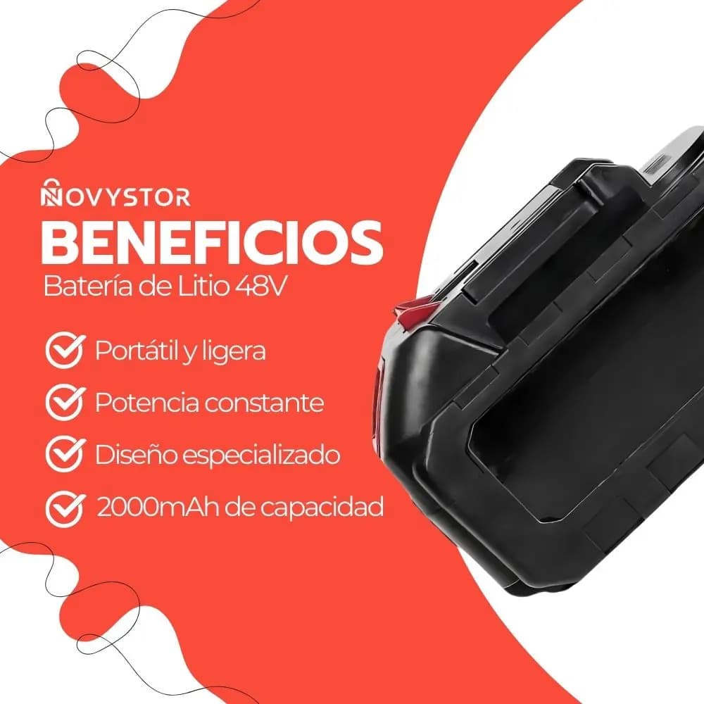 Batería 48v Litio Ion Industrial Ion Lithium Recargable — imagen 4