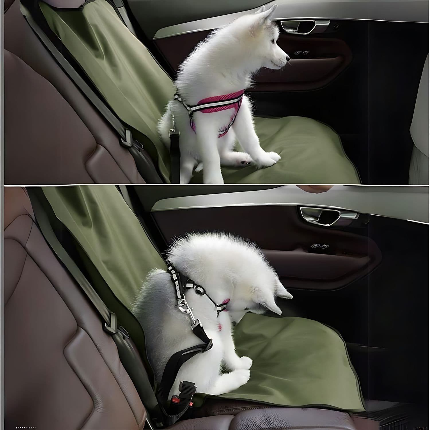 Funda Protectora de Mascota para Asiento Delantero — imagen 8